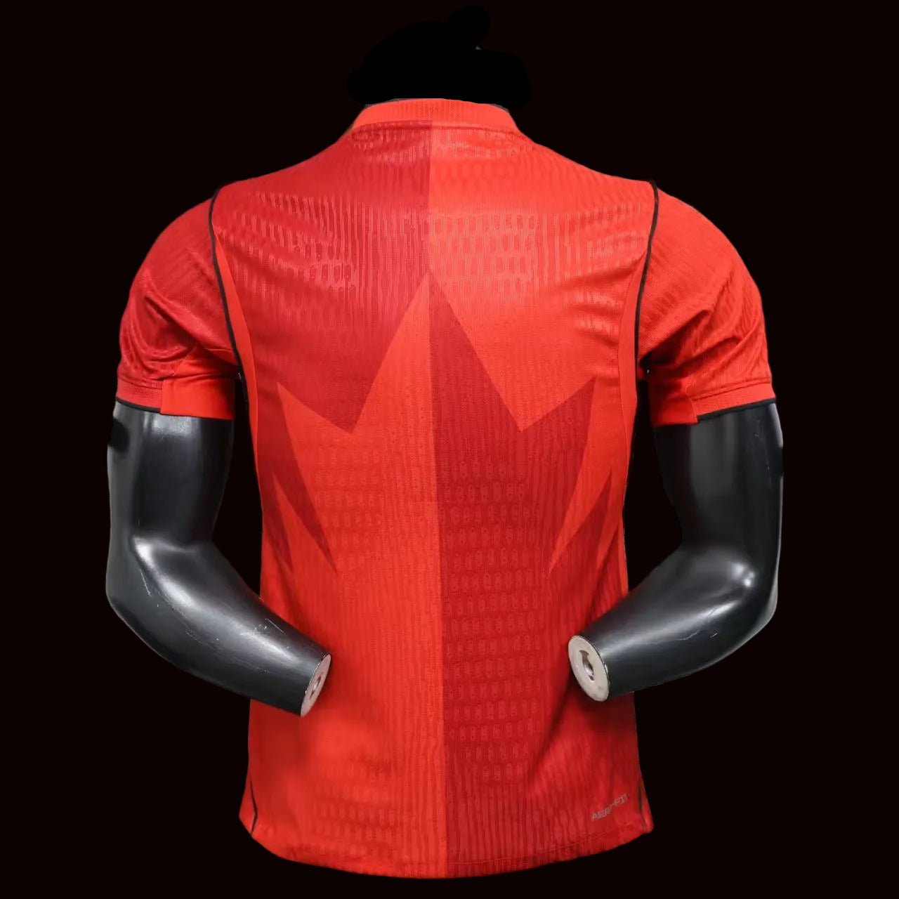 Canada home 2026
