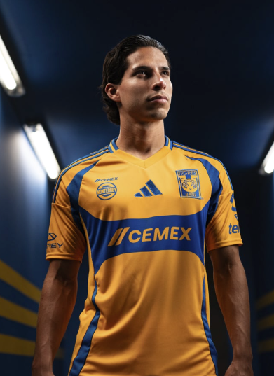 Tigres 2024/2025 Yellow Home