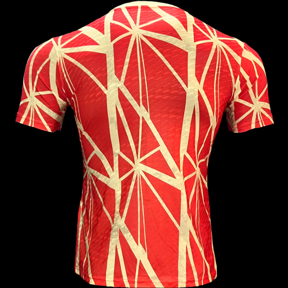 Bayern 24/25 Training Jersey